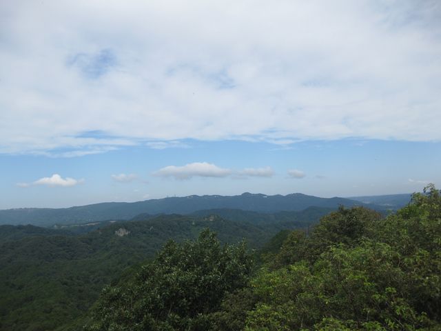 75.jpg