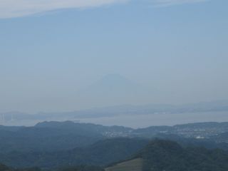 77.jpg