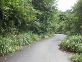 96.jpg