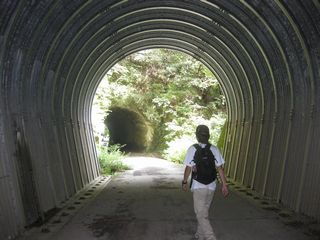 97.jpg